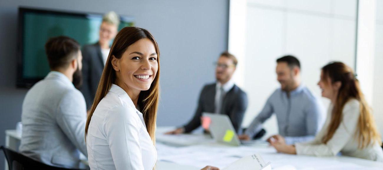 Team of business professionals having a meeting