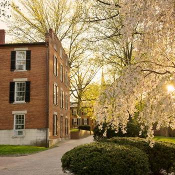 College Green Spring